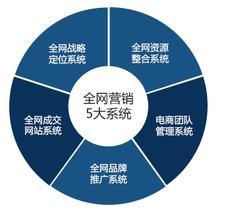 網絡營銷特性、營銷型網站與電子商務平臺開發運營的對比分析